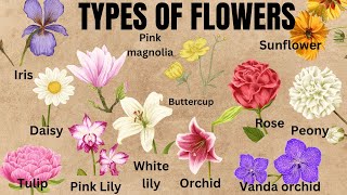 Types of flowers in English  flowers names in English  listen and practice [upl. by Annuahs]