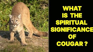 WHAT IS THE SPIRITUAL SIGNIFICANCE OF COUGAR [upl. by Caressa155]