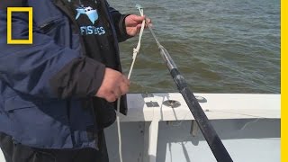 Fishing Tips How to Rig a Harpoon  Wicked Tuna Outer Banks [upl. by Weaks]