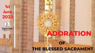 Adoration of the Blessed Sacrement  1st June 2023 [upl. by Ttehc]