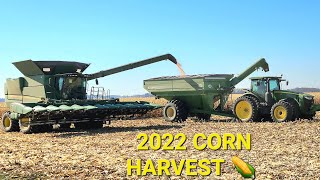 CORN HARVEST 🌽 2022 JOHN DEERE s780 COMBINE HARVESTING CORN [upl. by Mita]