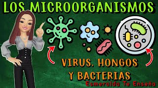 🔬🤧Los Microorganismos Virus Bacterias Hongos y Parásitos🦠🔍 [upl. by Eidorb]