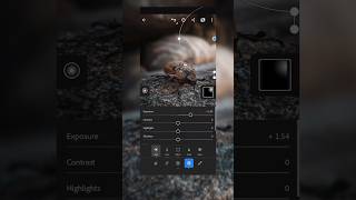 🤯🍃Lightroom mobile🔥🌿 Photo Editing Macro Photos  CloudyEditzSL [upl. by Cacilie]