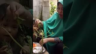 EATING RAW PAPAYA LEAF VEGETABLES part 2 shorts food indonesianfood [upl. by Ximenez]