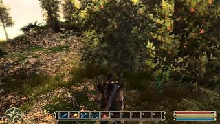 Lets Play Gothic 3 HD 2  Mit Gorn nach Reddock [upl. by Sekyere]