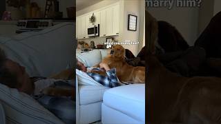 Pranking my dog with a fart machine 🌬️🤢 [upl. by Ban32]