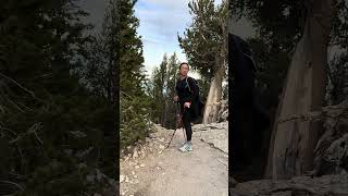 Mt Charleston north loop to south loop  hiking 22 miles in a single day 4 [upl. by Ahsilif430]