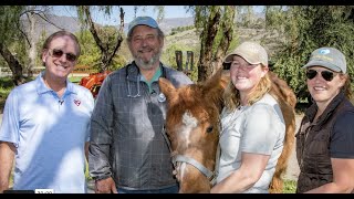 The Pet Psychic ® Talks With Butterscotch The Horse About Her Teeth [upl. by Shuler470]