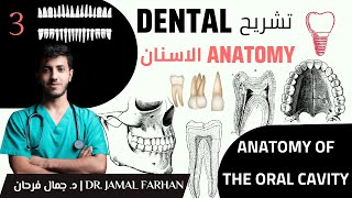 Dental Anatomy Course  lecture 1  part 3  Anatomy Of The Oral Cavity  تشريح الأسنان [upl. by Enybor]