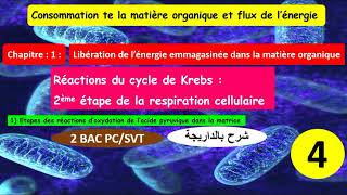 Réactions du cycle de krebs 2ème étape de la respiration cellulaire 2bac pcsvt شرح بالداريجة 4 [upl. by Bethena742]