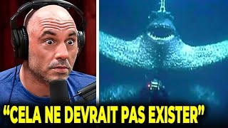 JRE Des Scientifiques Trouvent Des Créatures Terrifiantes Vivant Au Fond De La Fosse Des Mariannes [upl. by Attiuqram500]