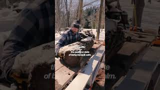 Chainsaw Milling and Woodworking are Two Things that Bring Me Tranquility [upl. by Ferdy]