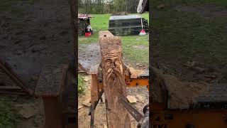 Waldgeist Anleitung mit der Motorsäge Schritt für Schritt aus einem alten Stück Holz ❤️ waldgeist [upl. by Marijn]