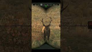 Elk Cell  Elk Hunting  Cabelas Big Game Hunter Pro Hunts 2014  shorts viral hunting [upl. by Nortna]