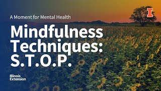 Mindfulness Techniques  STOP  A Moment for Mental Health [upl. by Iris849]