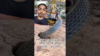 Amazing DIY Easy Snake Trap using pressure curved ppliers versatile reel Got millions of short [upl. by Ahsienad649]