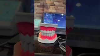 Dental model dentist dentista model [upl. by Annayek189]