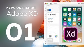 Уроки Adobe XD  № 01  Введение [upl. by Artcele]