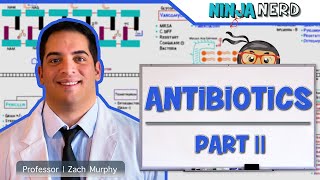 Antibiotics Folic Acid Pathway Inhibitors Part 2 [upl. by Htebasyle]