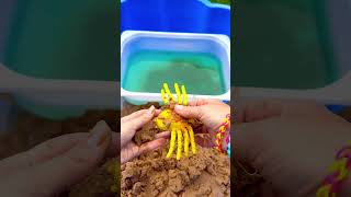 Find Bug Toys in Sand  Learn Bug Insect Names for Babies Kids Centipede Slug Spider Ladybug Bee [upl. by Lazor164]