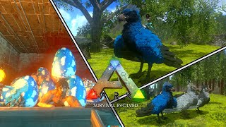 Incubando 100 Ovos de Argentavis  ARK Survival Evolved Mobile [upl. by Cole674]