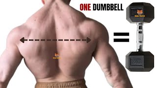 ONE DUMBBELL BACK WORKOUT EXERCISES AT HOME [upl. by Henley252]