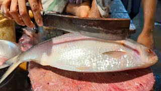 Amazing Giant Hilsa ilish Fish Cutting Skills In Bangladesh Fish Market By Expert Cutter [upl. by Ynad]