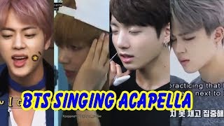 20 Minutes of BTS Singing Acapella Vocal Team  방탄소년단 [upl. by Harimas]