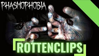 Anne Schrank boxt Geist aufs Maul  Phasmophobia Episode 15 [upl. by Zamir]