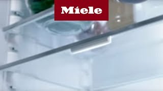 Perfekte KühlschrankAusleuchtung mit FlexiLight  Miele [upl. by Egide341]