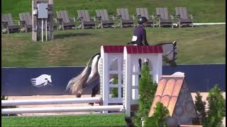 Capitolino DVE for lease after Maclay finals [upl. by Aleac261]