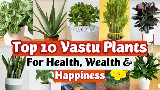 Top 10 Lucky Plants for Home  Vastu Plants  Best Indoor Plants  Lucky Plants for Home [upl. by Enitsed]