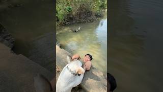 The Dog Saves Its Owner from Being Swept Away by the FloodPet doglover dog [upl. by Ennairod]