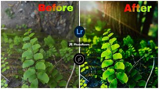 AI BACKGROUND PHOTO MACRO EDITING lightroom lensdistortions photoroom [upl. by Snevets]