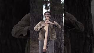 Listen to 432Hz Bass D drone Native American style flute📹 Christian Dimarco Music repost [upl. by Goeselt]