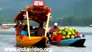 Shikara boat ride and floating market in Dal lake Jammu and Kashmir [upl. by Enrobialc74]