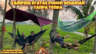 CAMPING DI POHON TENGAH SAWAH TANPA TENDA SAMPE PAGI [upl. by Drescher516]