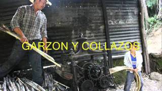 Garzón y Collazos  El trapiche  Colección Lujomarwmv [upl. by Kopaz]