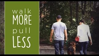 Walk Together with the SideWalker Leash Trainer from DogWatch [upl. by Odin]