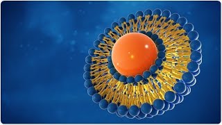 Nano Liposome Tools for Target Drug Delivery [upl. by Syck]