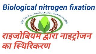 Biological nitrogen fixation [upl. by Assenal460]