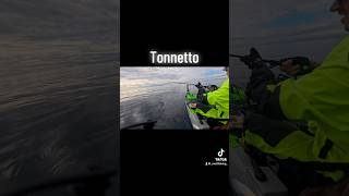 Tonnetto fishing pescao pescare fish sea kayak [upl. by Skolnik669]