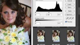 Histograms  Histogram  Digital Photography  Camera [upl. by Esinart]