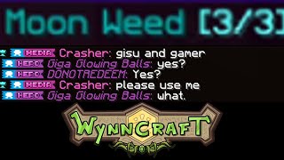 The Wynncraft Community Experience [upl. by Aneras891]