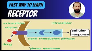 Introduction to Receptors Types amp Signaling Pathways 13 [upl. by Llehsar]