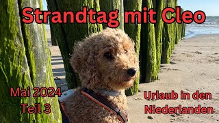 Strandtag mit Cleo in den Niederlanden 2024  Teil 3 [upl. by Joye]