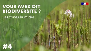 Vous avez dit biodiversité  Les zones humides  Plan deau dExireuil 79 [upl. by Yelreveb]