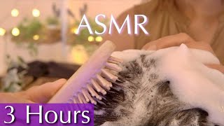 ASMR 3 Hours of Satisfying Shampoo amp Hair Wash for Stress Relief  No Talking [upl. by Denten]