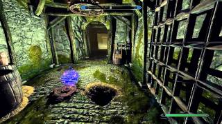 Skyrim  Invisibility and Backstab Gameplay 1 [upl. by Nylrem]