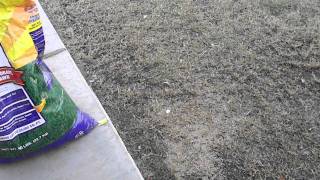 How to Plant Winter Grass [upl. by Nitsug]